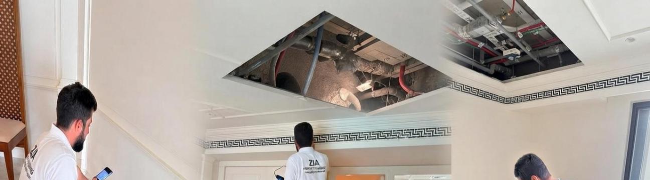 Property  Inspection