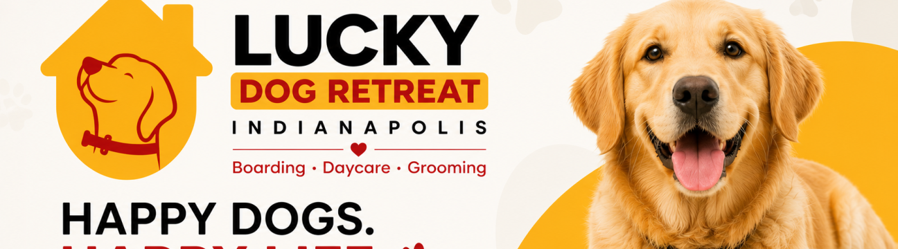 Lucky Dog  Indianapolis